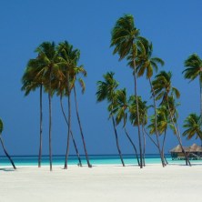maldives maldives